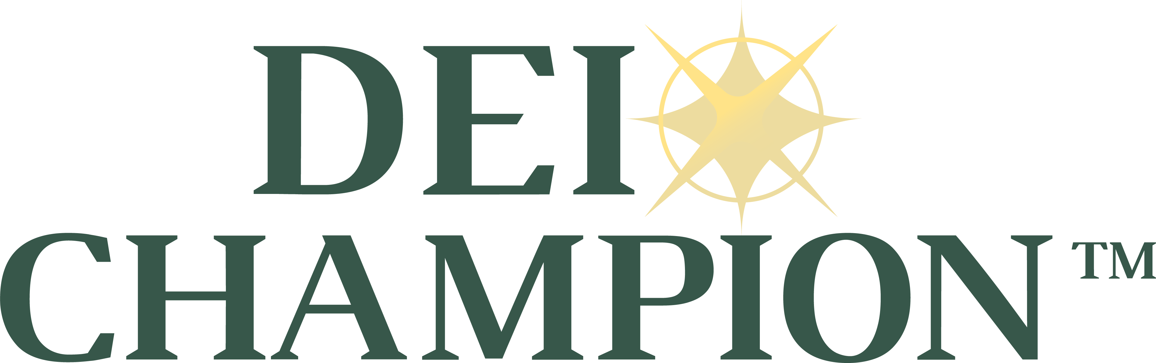 DEI Champion